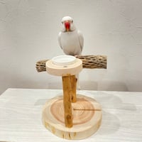 おやつ入れ付きカクタススタンドパーチ②