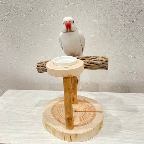 おやつ入れ付きカクタススタンドパーチ②