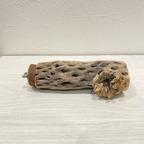 カクタスパーチ⑬  小 直径約4cm前後/13.5cm