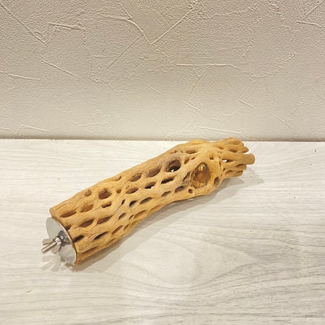 カクタスパーチ【31】直径4~5cm/長さ20cm