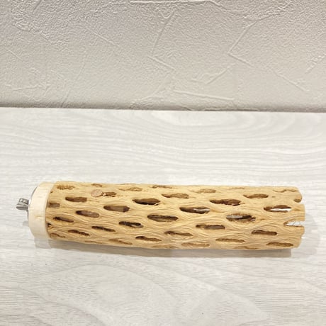 カクタスパーチ【11】小 直径約3.5cm 長さ15cm