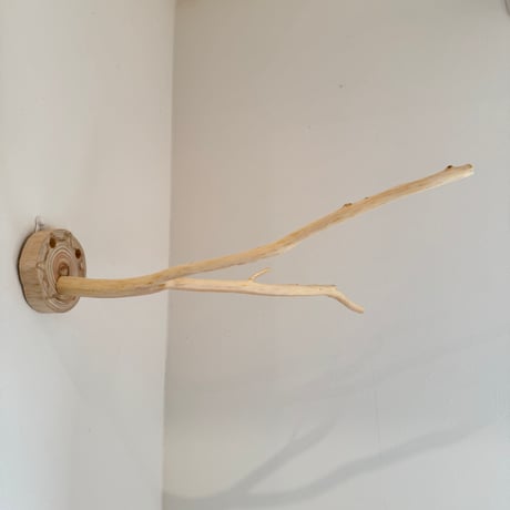 桧のピノキオの鼻 ⑦