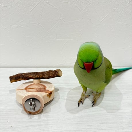 すみっこおやすみパーチ① 丸太直径8cm
