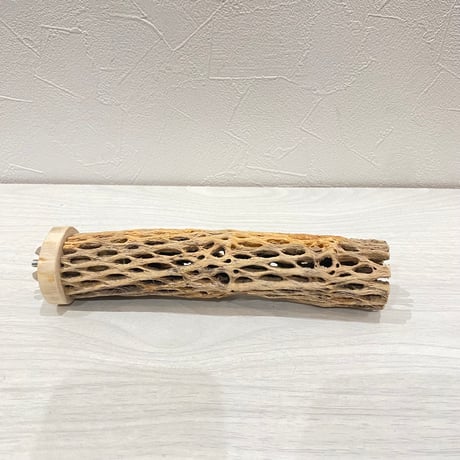 カクタスパーチ⑨ 小サイズ長さ18cm