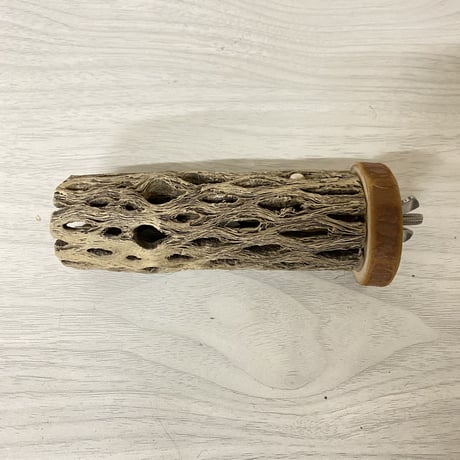 【okameinkoclub様専用】カクタスパーチ小直径（3～4cm）／12cm