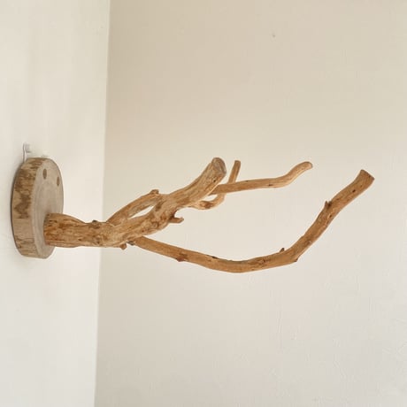 ピノキオの鼻 ⑦