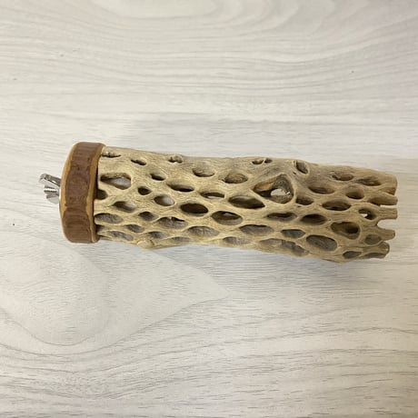 【中型用】カクタスパーチ①小 直径3-4cm／長さ12cm