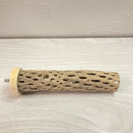 カクタスパーチ【D】極小 直径3cm前後 長さ15cm