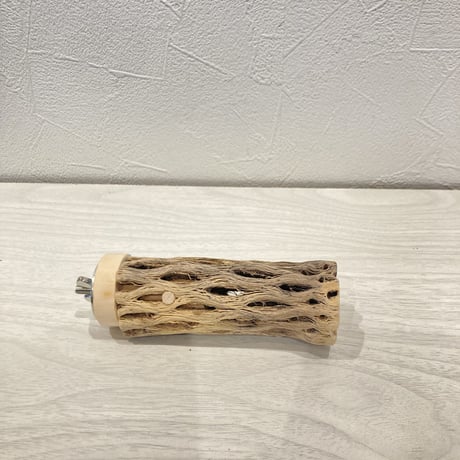 カクタスパーチ小② 直径約3~4cm 長さ10cm