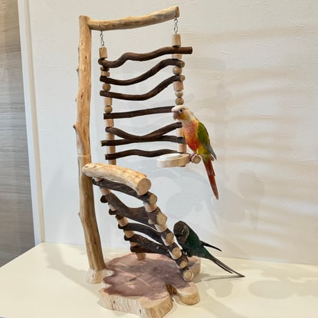 CATEGORY ブランコタイプ | 自然木の鳥用品 鳥豆堂【トリマメドウ