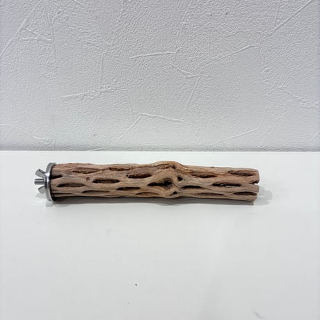 カクタスパーチ極小サイズ⑪ 直径約2.5〜3cm/長さ15cm【自然木 止まり木 バンブルフット 趾瘤症 】