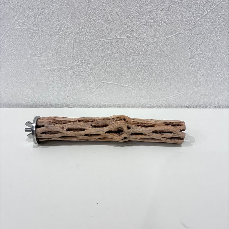 カクタスパーチ極小サイズ⑪ 直径約2.5〜3cm/長さ15cm【自然木 止まり
