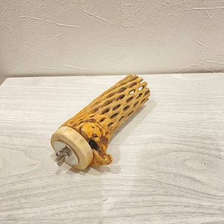カクタスパーチ【12】直径3~4cm/長さ12cm