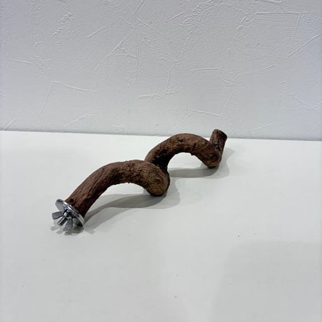 自然木（ツタ）パーチ①  直径約2.2cm/長さ22cm