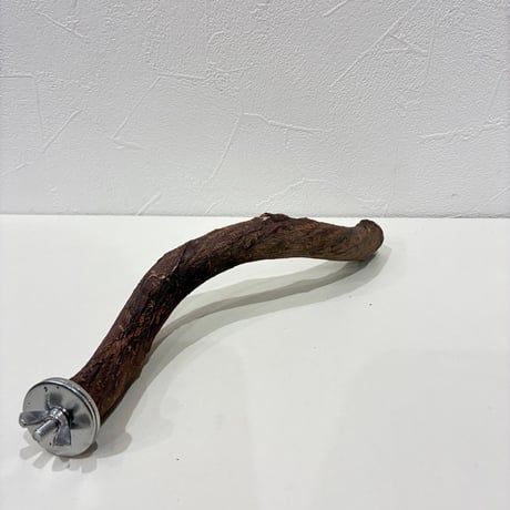自然木（ツタ）うねうねパーチ⑥【自然木　止まり木 バンブルフット予防 】  のコピー