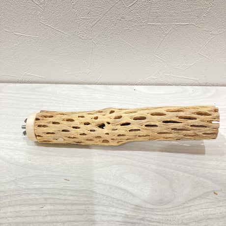 カクタスパーチ小⑦ 直径約3~4cm 長さ20cm