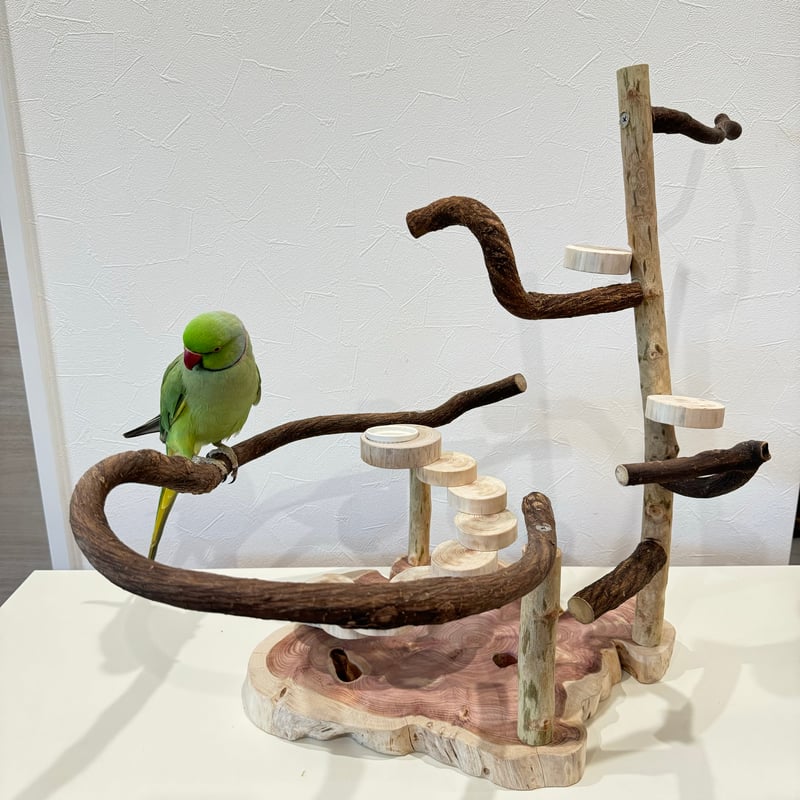 螺旋階段とツタのバードアスレチック【インコのおもちゃ・自然木の