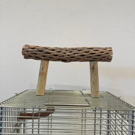 使い方いろいろ 屋上カクタスパーチ【4】 小25cm