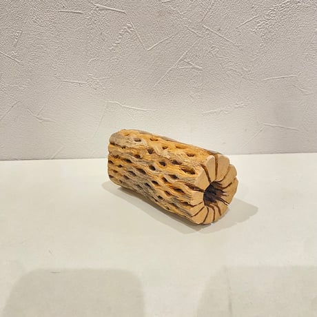 カクタスパーチ② 直径約5.5cm/長さ11cm