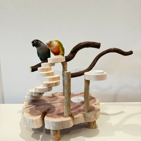 螺旋階段とツタのバードアスレチック【インコのおもちゃ・自然木のとまり木】