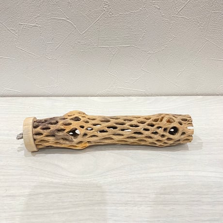 カクタスパーチ⑬ 小サイズ長さ20cm