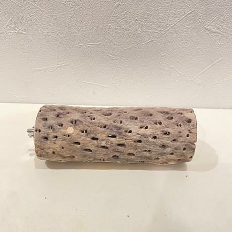 CATEGORY カクタスパーチ | 自然木の鳥用品 鳥豆堂【トリマメドウ