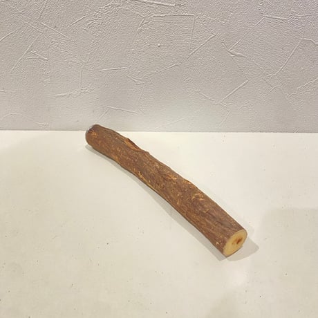 自然木（ツタ）パーチ ⑥ 直径約3cm/長さ25cm