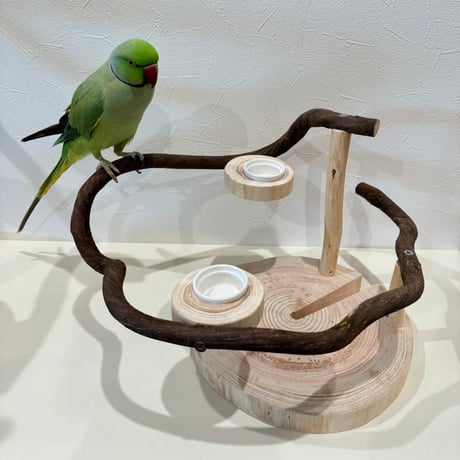 ツタのぐるりんぴーちくパーチ