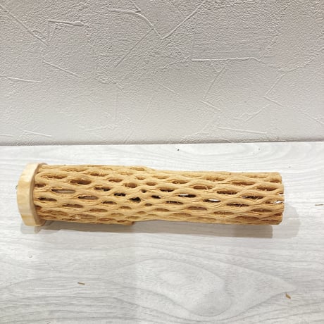 カクタスパーチ中② 直径約5cm 長さ20cm