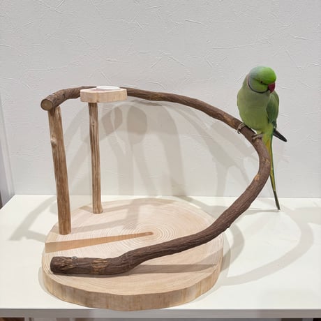 ひげ バードアスレチックジム  大型 天然木 自然木  止まり木 バードアスレチックジム大型 ㉟ 天然木 自然木 流木 止まり木
