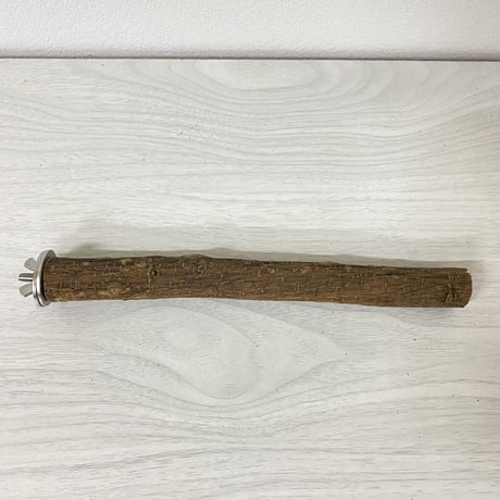 自然木（ツタ）パーチ③