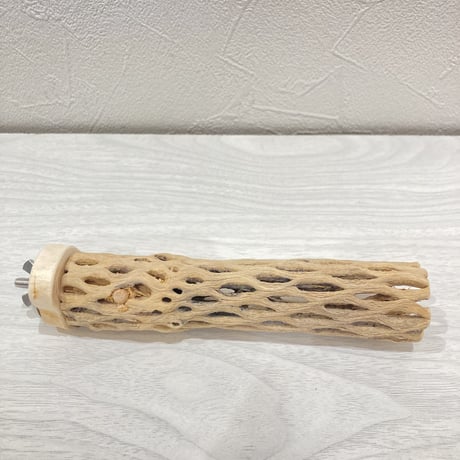 カクタスパーチ【7】極小 直径約3cm 長さ15cm