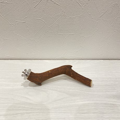 自然木（ツタ）パーチ①