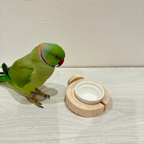 おやつ入れ付きテーブルパーチ　直径9cm/厚さ2cm
