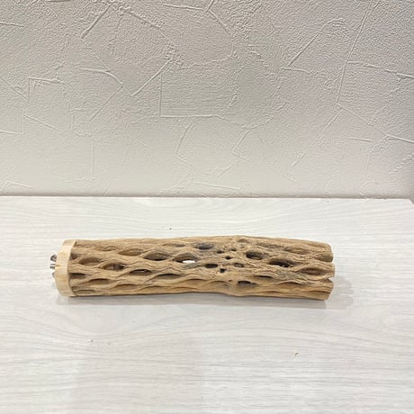 カクタスパーチ㉓中4.5~5.5cm長さ20㎝