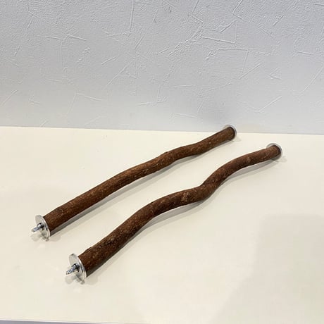 【jojo様専用】殿様パーチ（自然木ツタ）SANKOサンコー クリアバード40サイズ