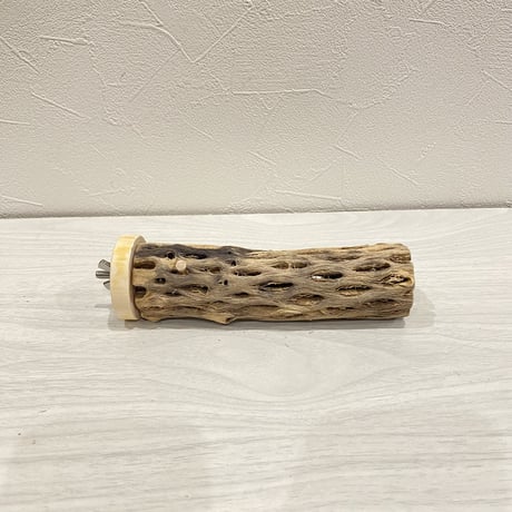 カクタスパーチ【16】小 直径約3-4cm/15cm