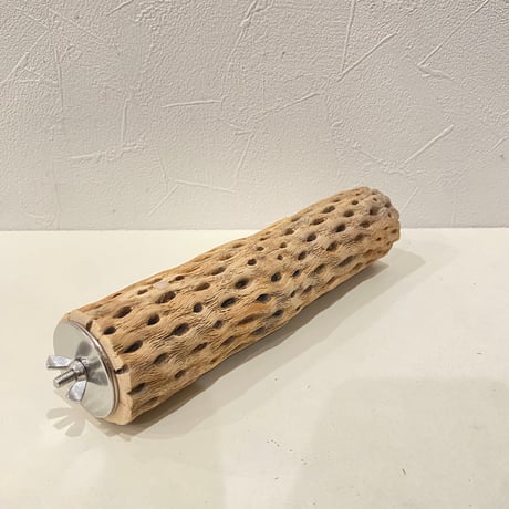 カクタスパーチ⑪ 直径約5cm/長さ20cm