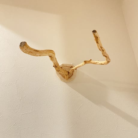 ピノキオの鼻 ⑧