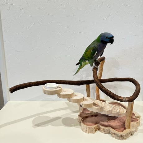 螺旋階段とツタパーチのバードアスレチック【インコのおもちゃ・自然木のとまり木】