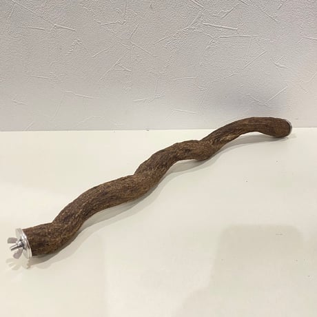 殿様パーチ（自然木ツタ） HOEI465サイズ 直径約2.5cm
