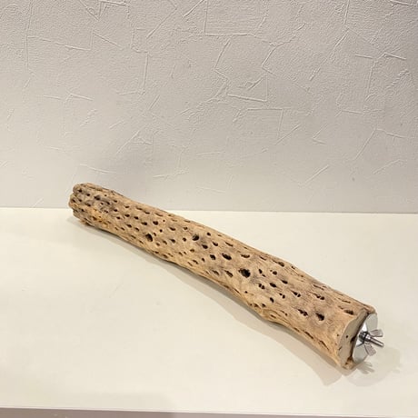 ケージサイズカクタスパーチ③ 直径約5cm HOEI465サイズ