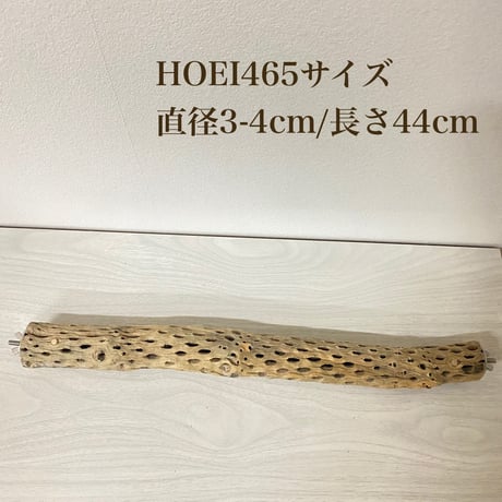 ケージサイズカクタスパーチ 小サイズ直径3-4cm HOEI465 ②