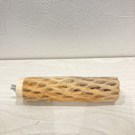 カクタスパーチ小⑬ 直径約3~4cm 長さ15cm