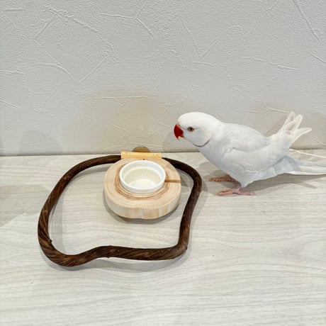ごちそうドーナツパーチF