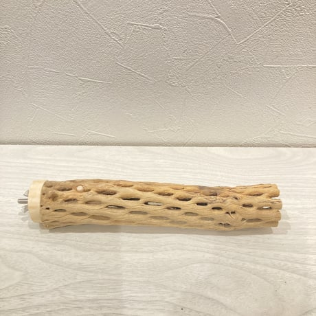 カクタスパーチ小㉖ 直径約3~4cm 長さ20cm
