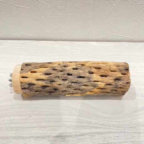 カクタスパーチ【19】直径4~5cm/長さ15cm