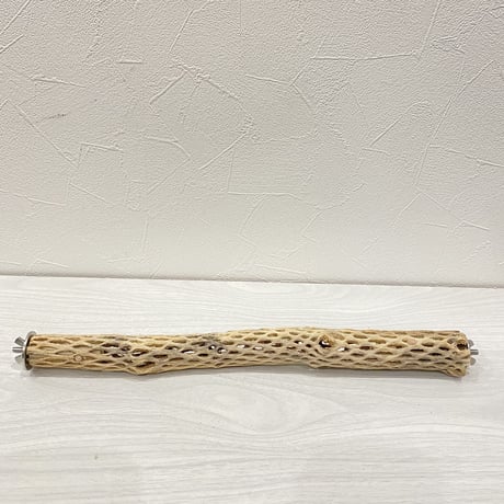 ケージサイズカクタスパーチ  小サイズ④（直径3-4cm）HOEI465