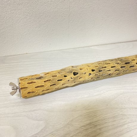 ケージサイズカクタスパーチ④  極小直径2-3cm HOEI465サイズ