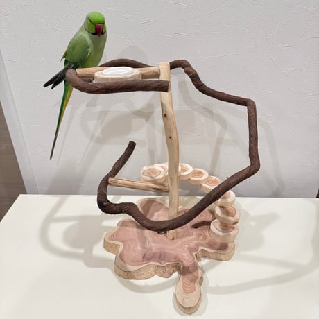 ツタと螺旋階段のぐるぐるバードアスレチック【インコのおもちゃ・ブランコ・自然木のとまり】